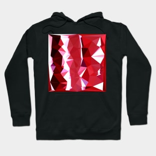 Barn Red Abstract Low Polygon Background Hoodie